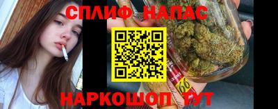гидра Малоярославец