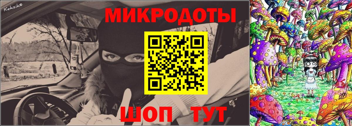 Галлюциногенные грибы Psilocybine cubensis Верхняя Салда