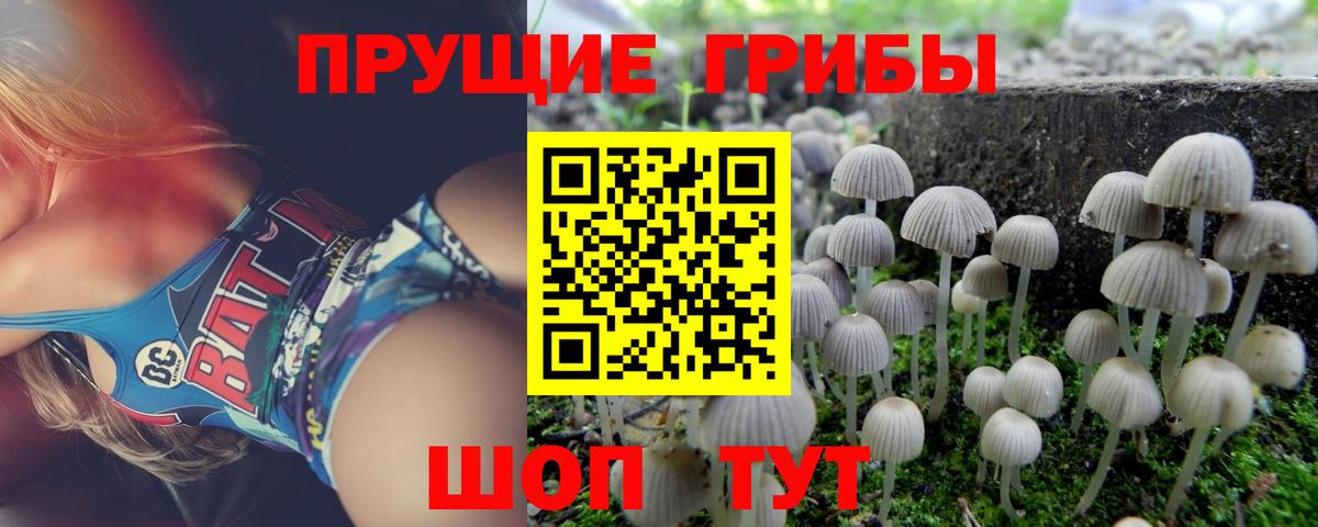 Верхняя Салда  сколько стоит  Псилоцибиновые грибы прущие грибы  Вход с VPN  Псилоцибиновые грибы Cubensis 